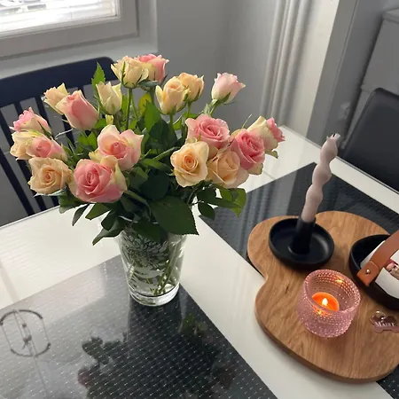 Vanamo Apartman *